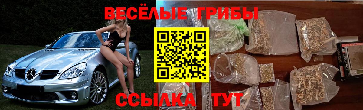 Псилоцибиновые грибы мицелий  Галлюциногенные грибы Cubensis  Вход с VPN  Вольск 
